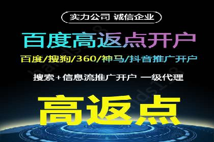 揭秘：成功SEM推广代运营公司案例解析
